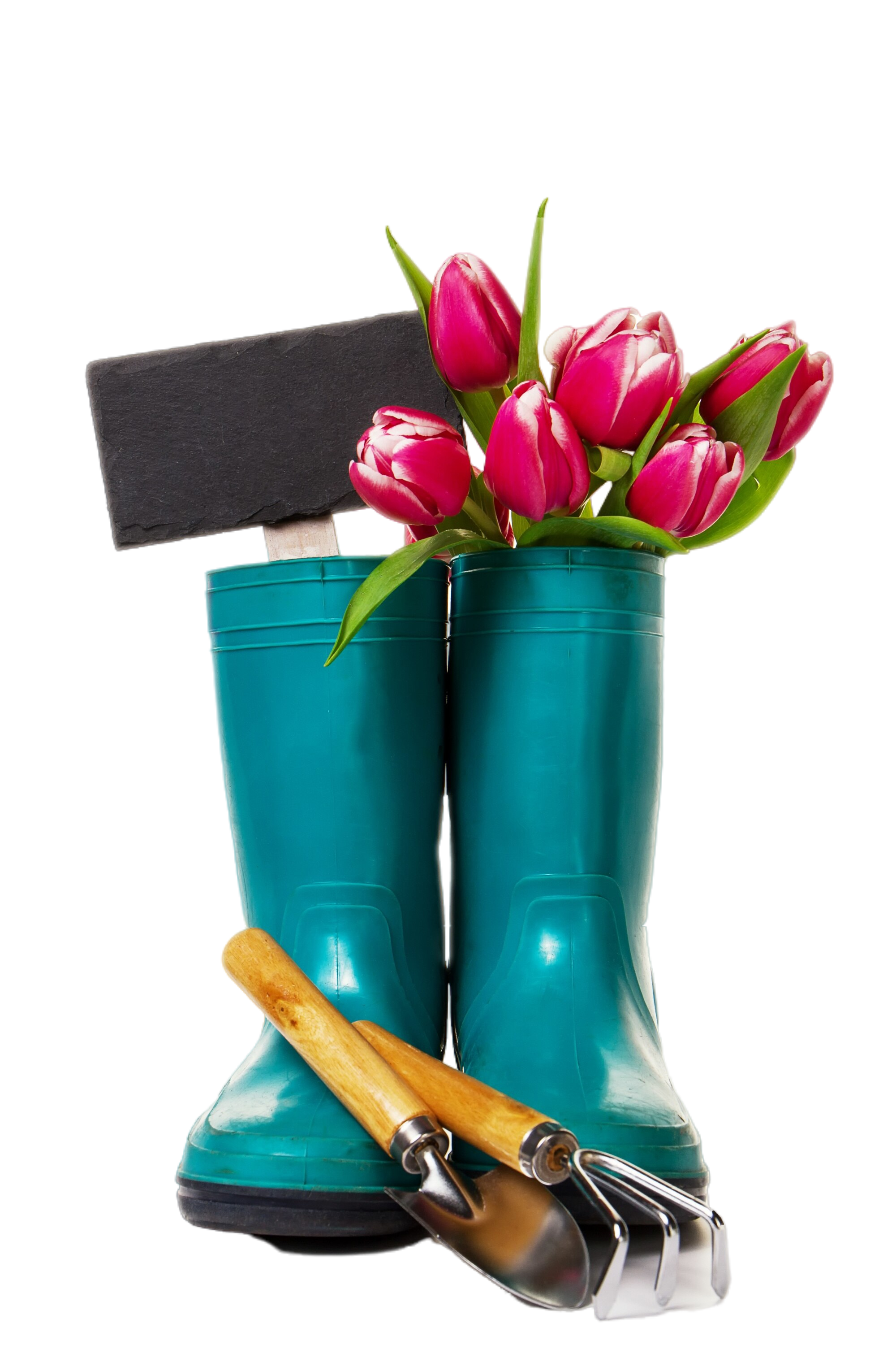 Lucky Shrub hard at work